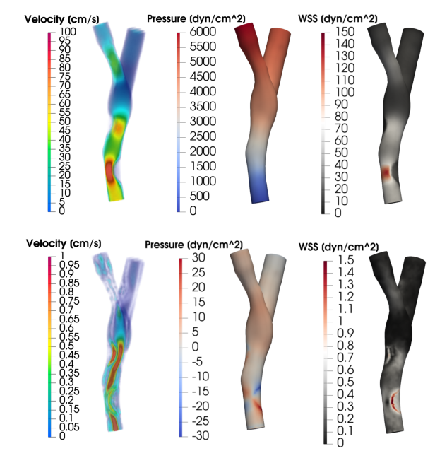 Reduced-order velocity, pressure, and wall shear stress fields on a vessel bifurcation, with the corresponding errors